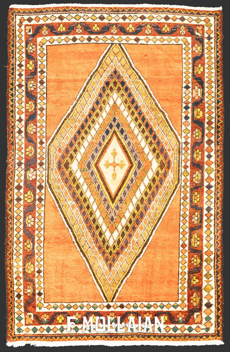 Gabbeh Rug Bakhtiari n°:418126